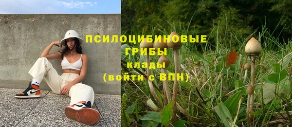 твердый Баксан